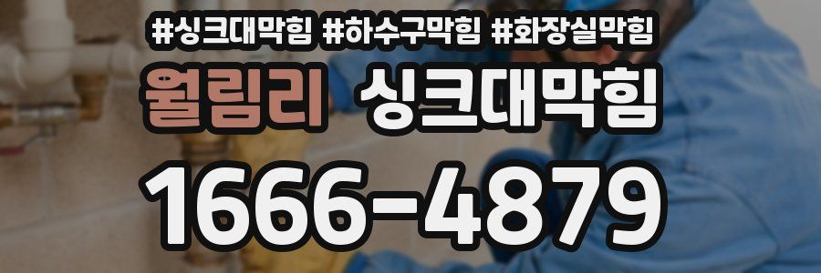 싱크대막힘