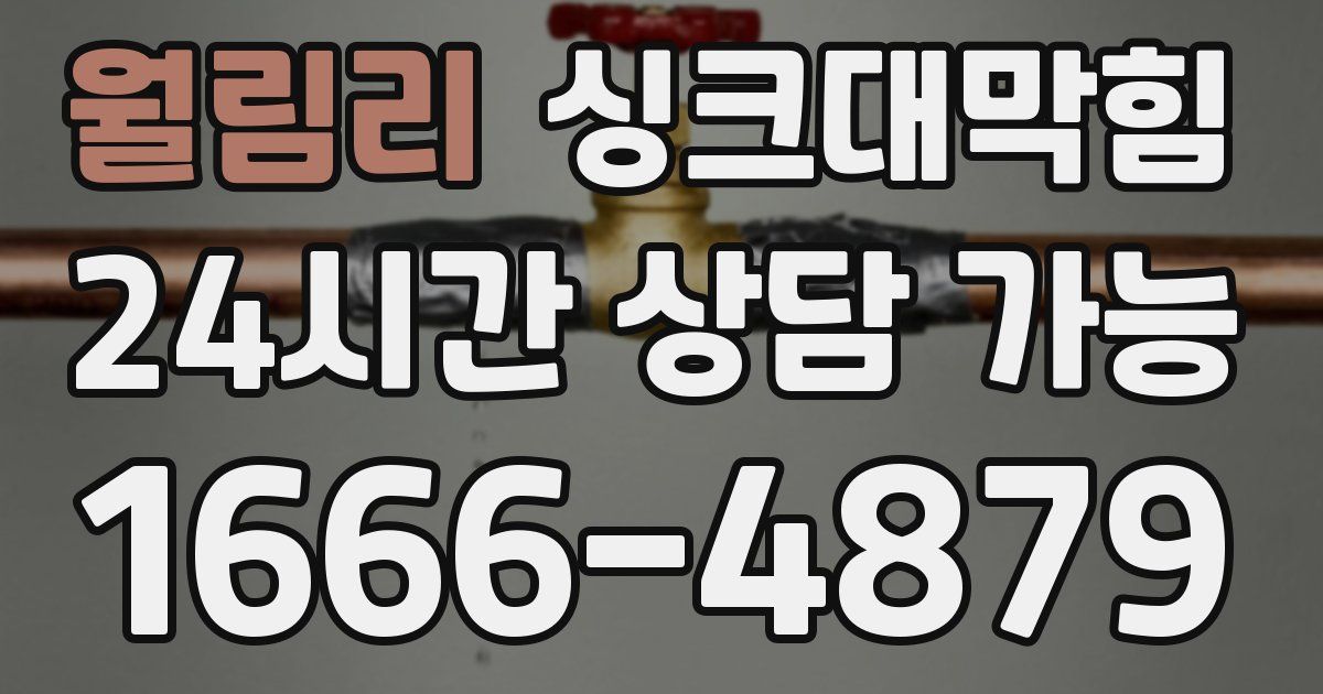 월림리 싱크대 뚫기