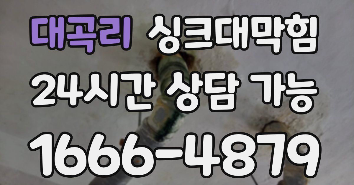대곡리 싱크대 뚫기