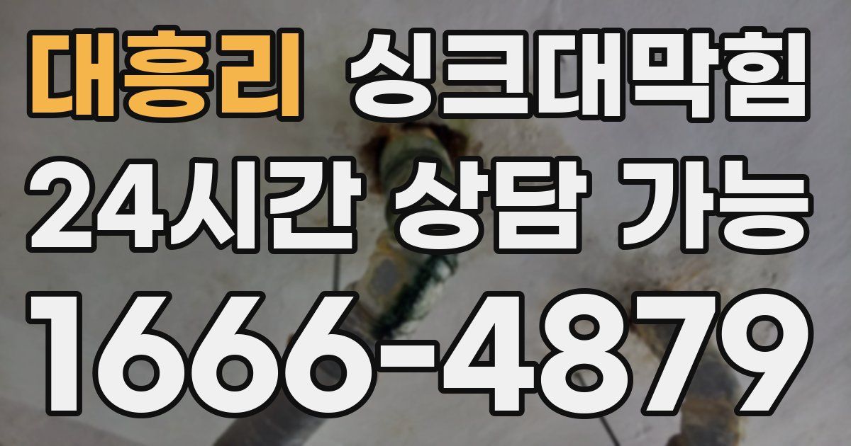 대흥리 싱크대 뚫기