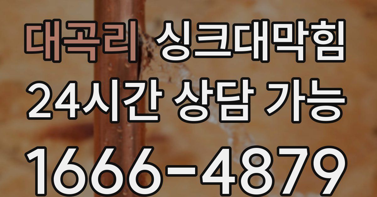 대곡리 싱크대 뚫기