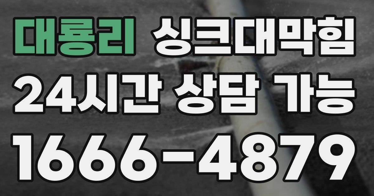 대룡리 싱크대 뚫기
