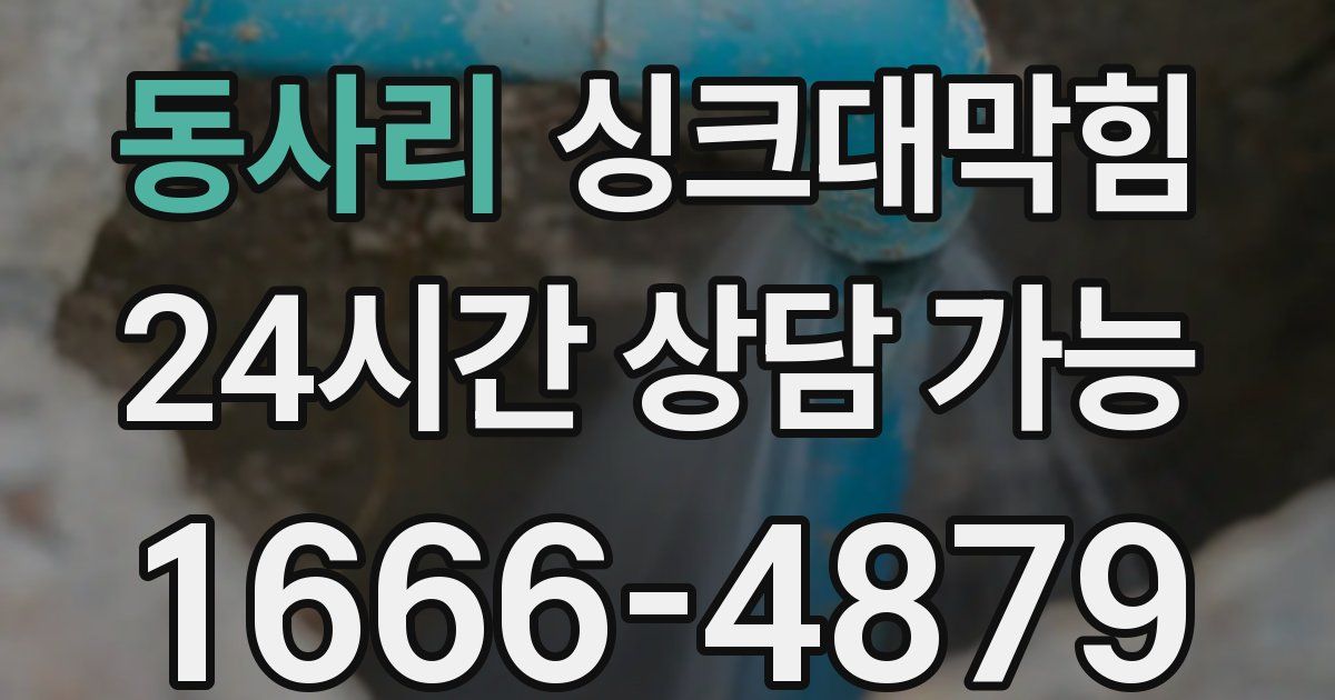 동사리 싱크대 뚫기