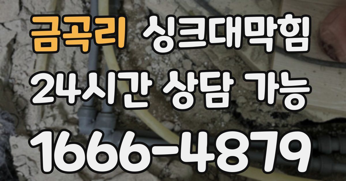 금곡리 싱크대 뚫기