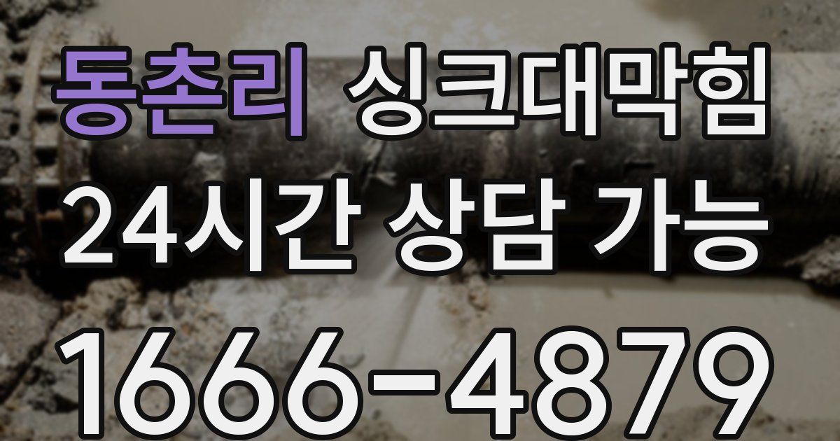 동촌리 싱크대 뚫기