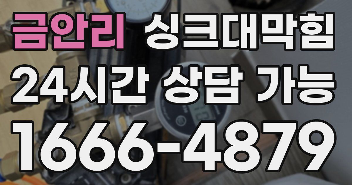 금안리 싱크대 뚫기