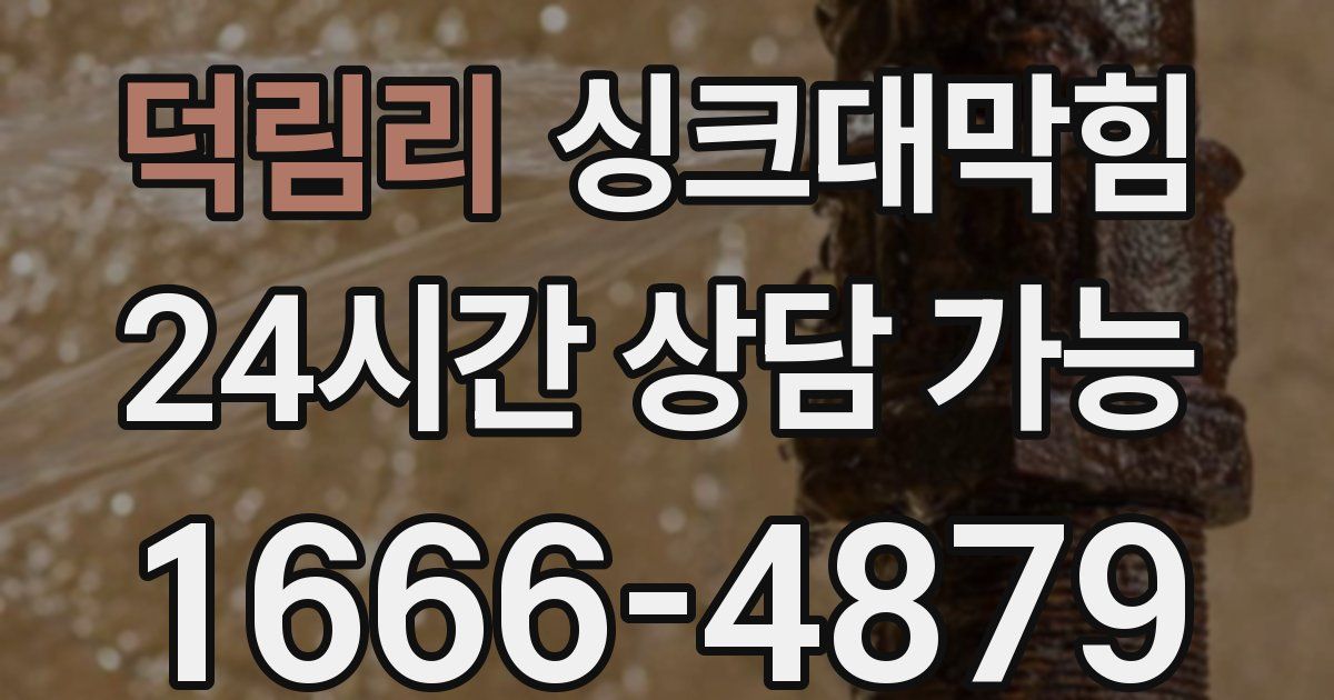 덕림리 싱크대 뚫기