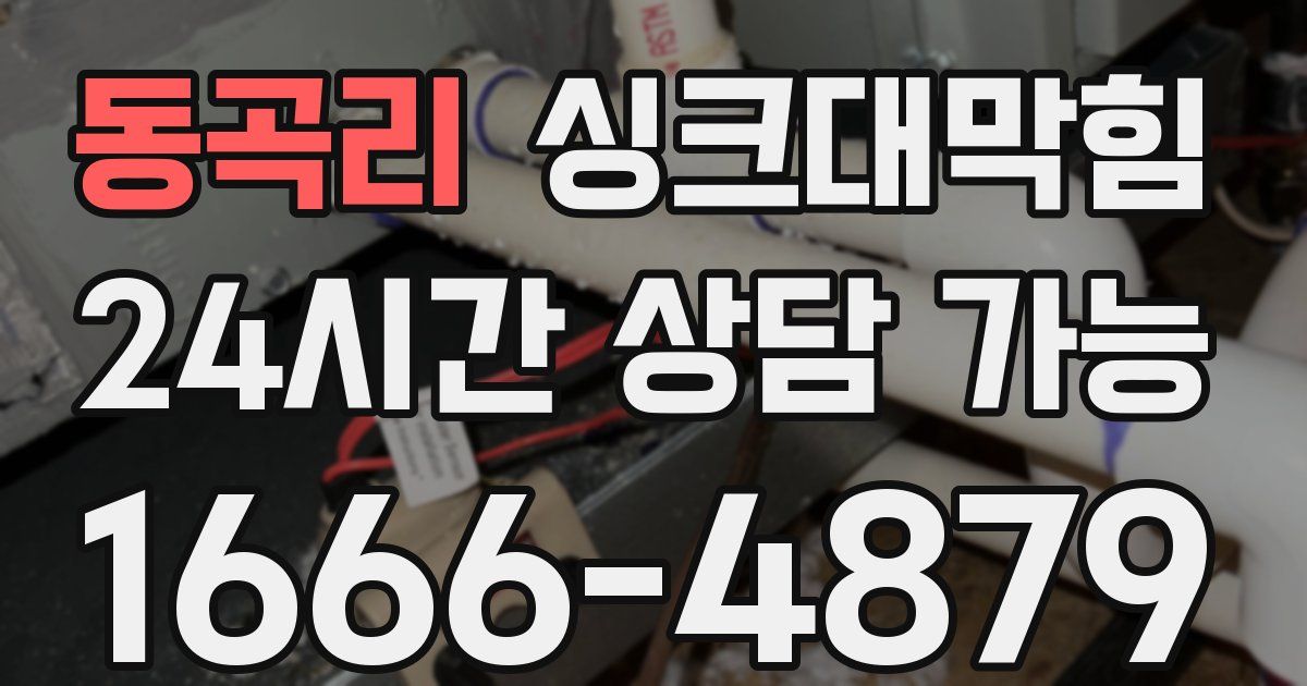 동곡리 싱크대 뚫기