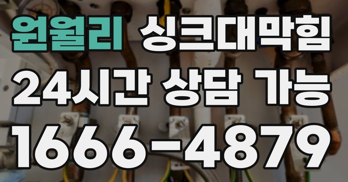 원월리 싱크대 뚫기