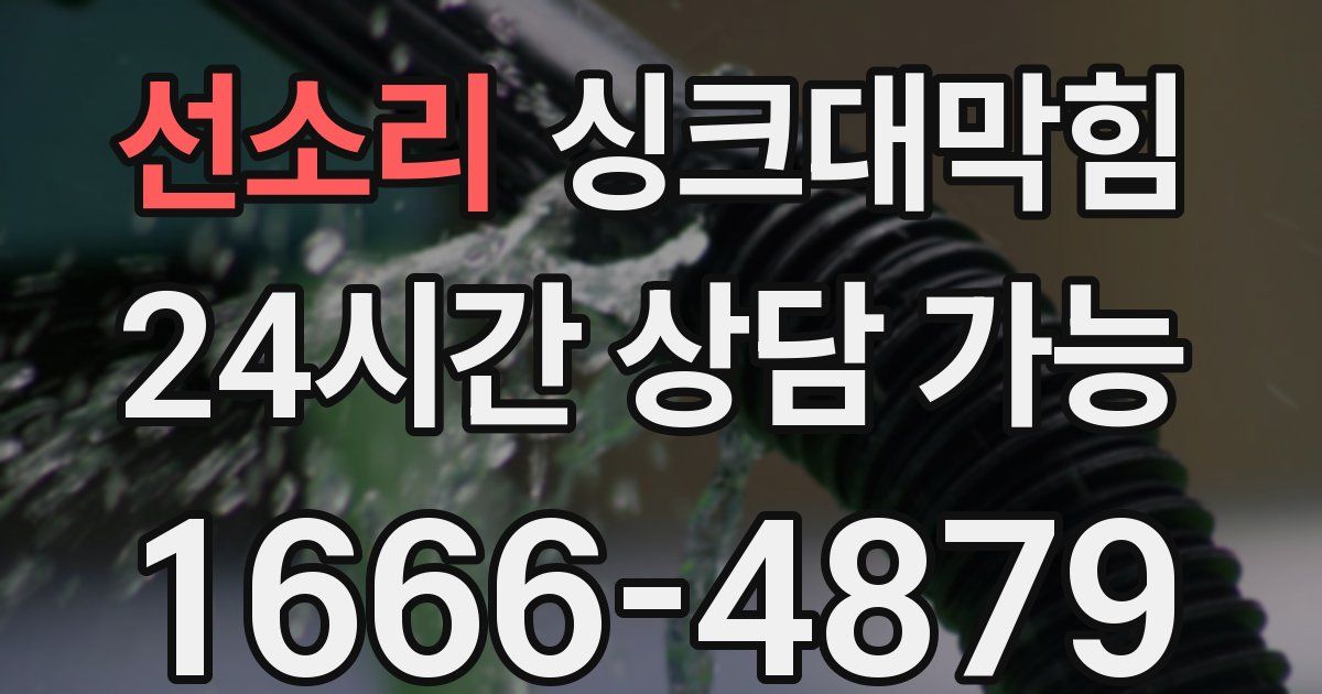 선소리 싱크대 뚫기