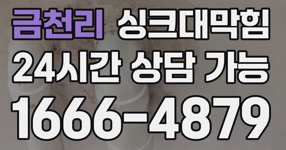 금천리 싱크대 뚫기
