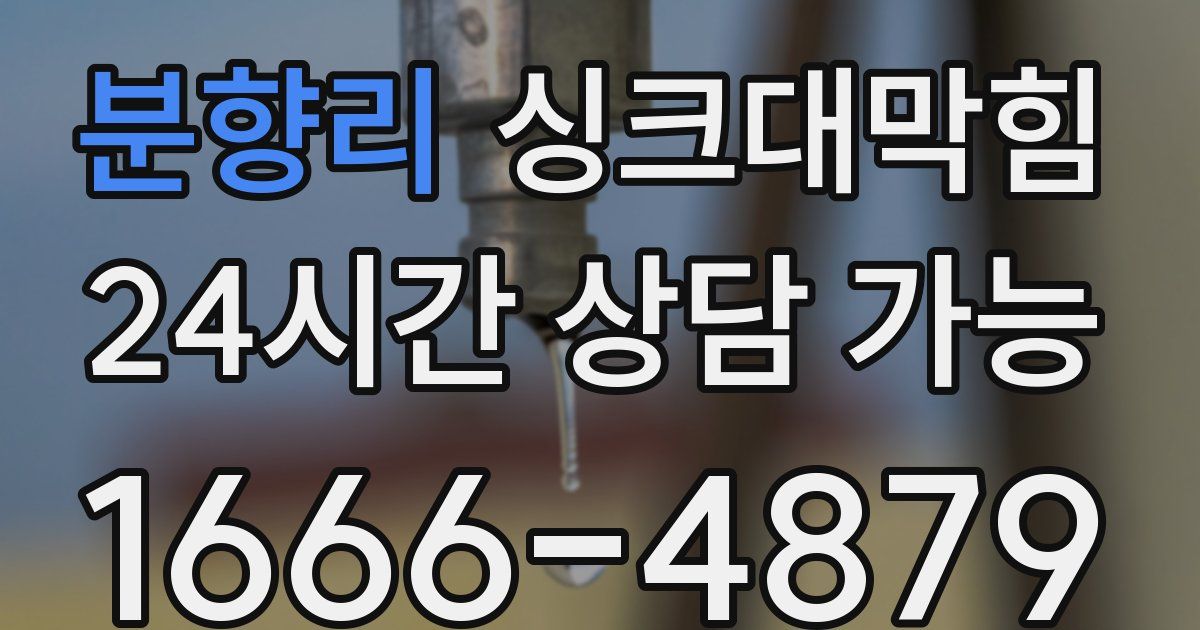 분향리 싱크대 뚫기