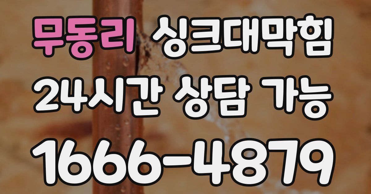 무동리 싱크대 뚫기