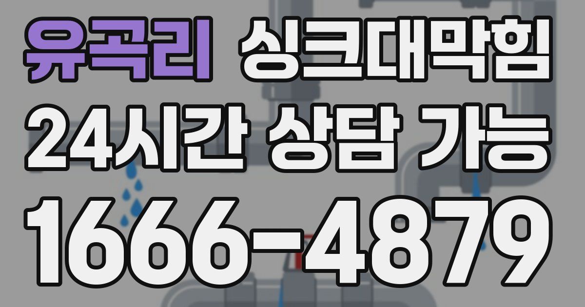 유곡리 싱크대 뚫기