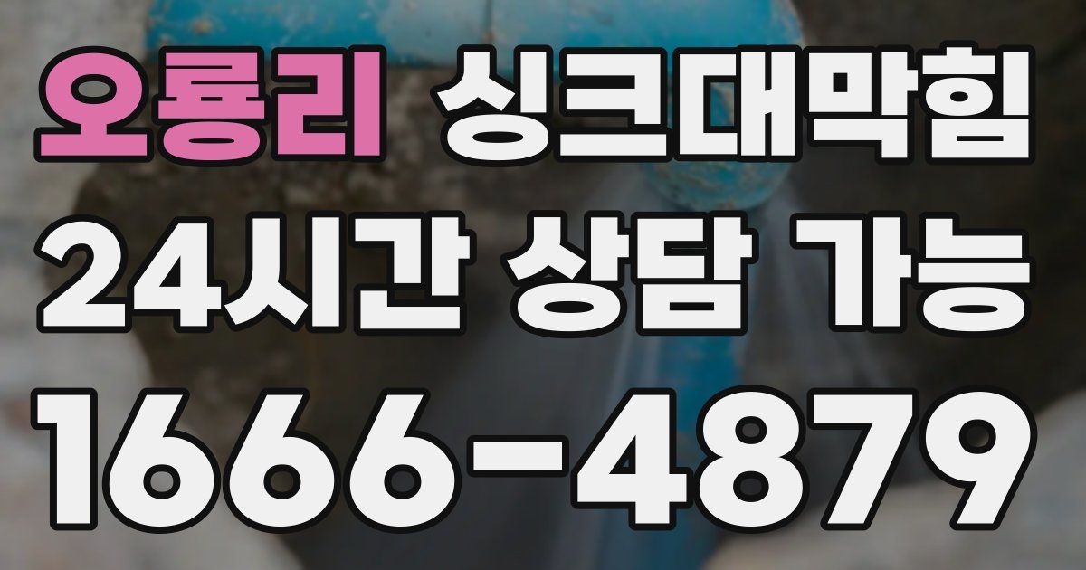 오룡리 싱크대 뚫기