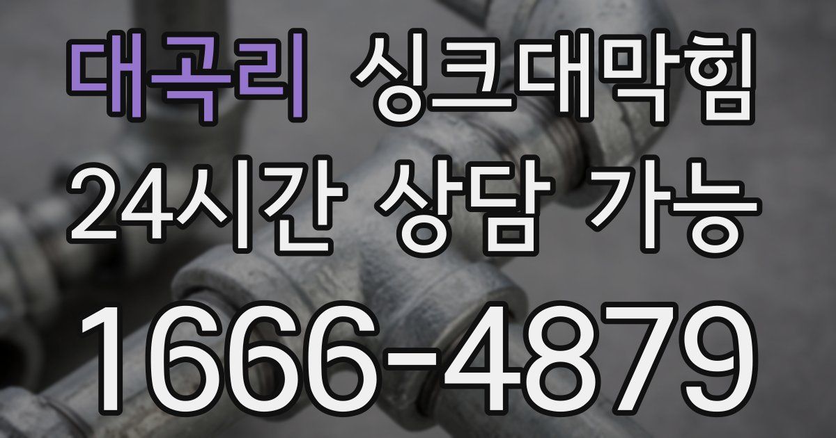 대곡리 싱크대 뚫기