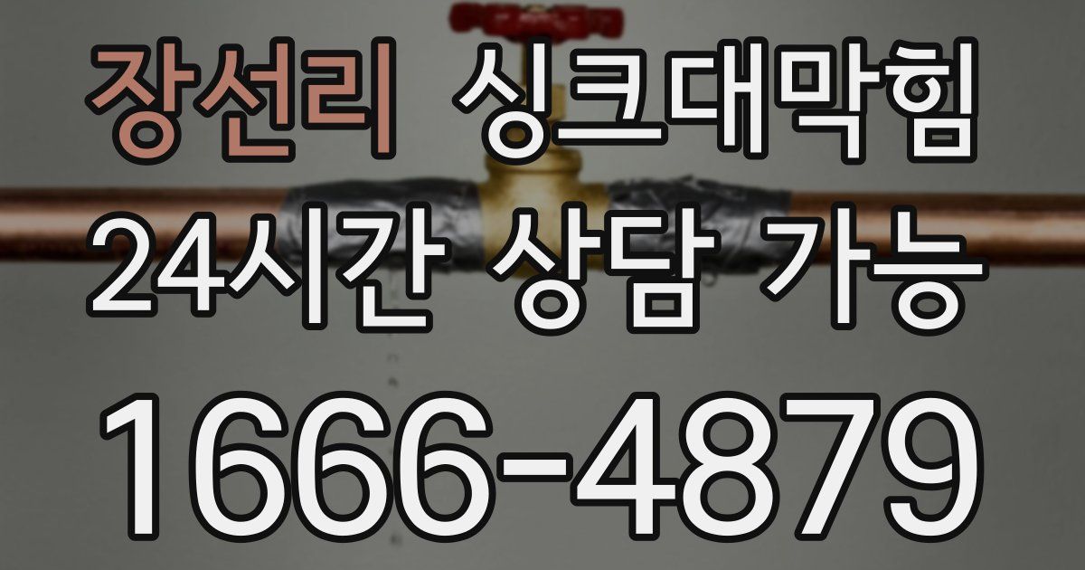 장선리 싱크대 뚫기