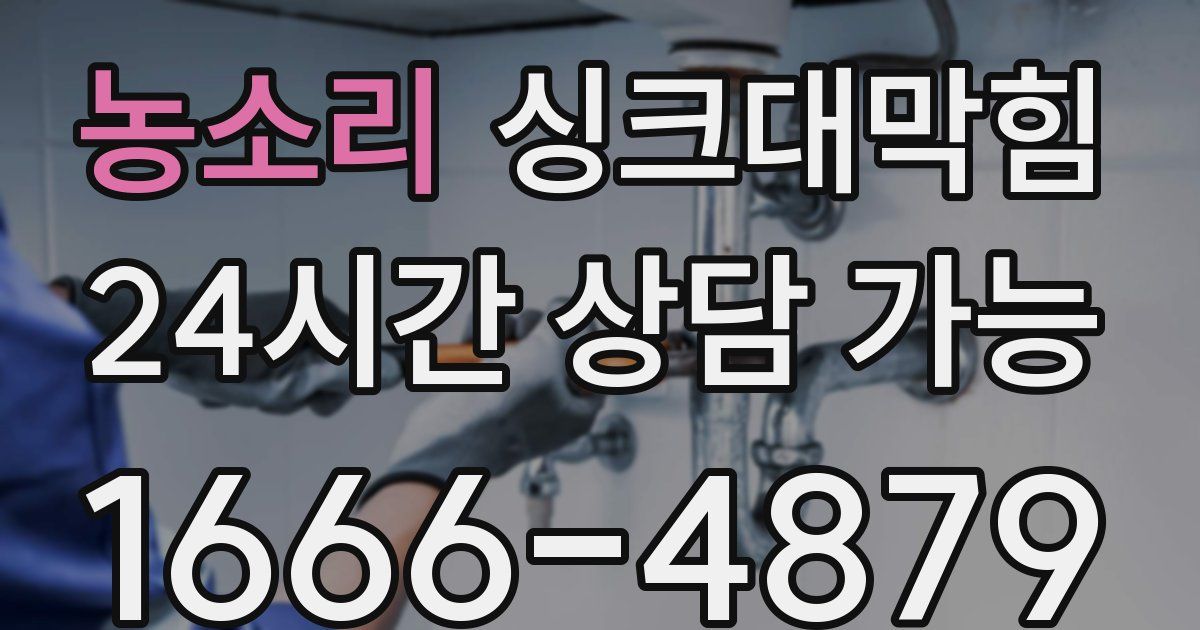 농소리 싱크대 뚫기