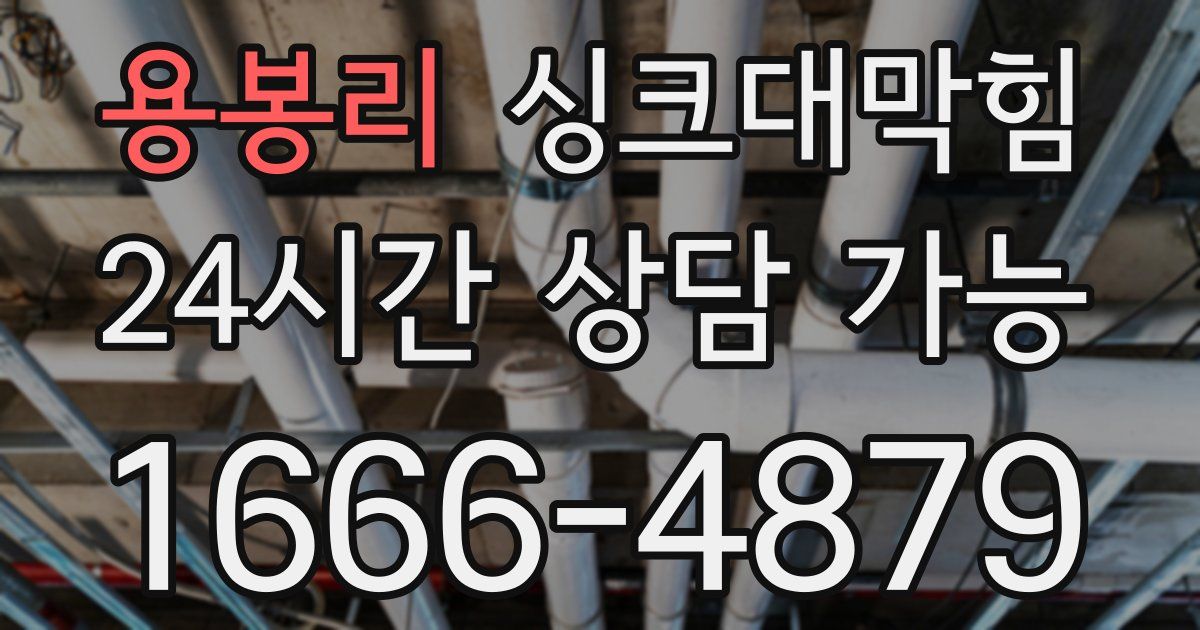 용봉리 싱크대 뚫기