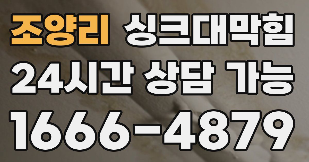 조양리 싱크대 뚫기