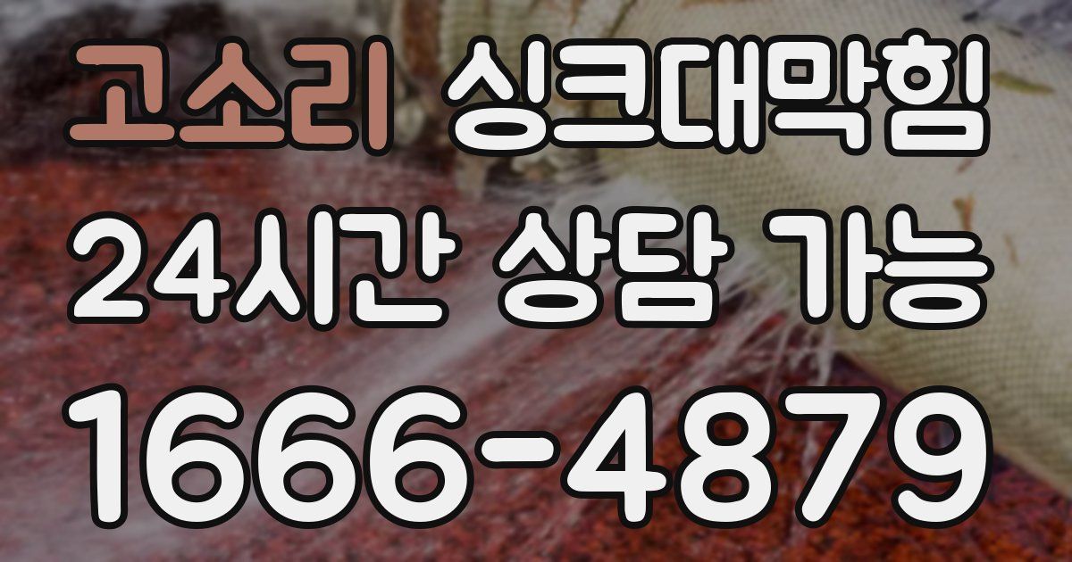 고소리 싱크대 뚫기