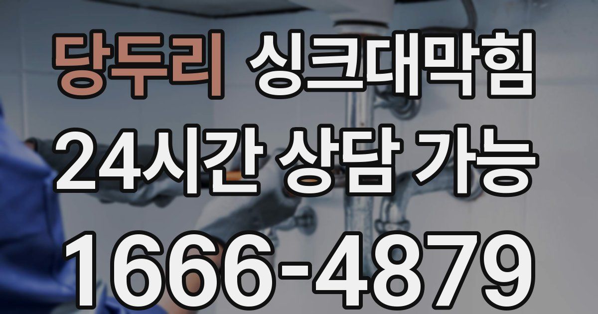 당두리 싱크대 뚫기