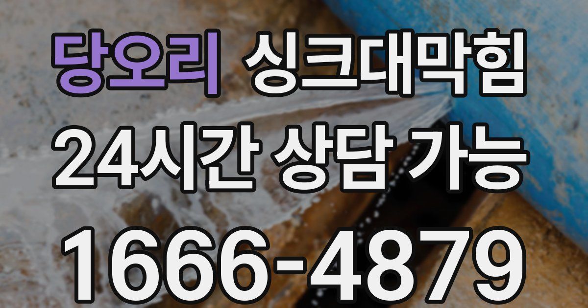 당오리 싱크대 뚫기