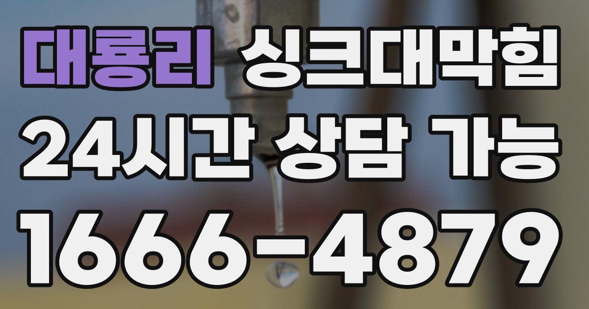 대룡리 싱크대 뚫기