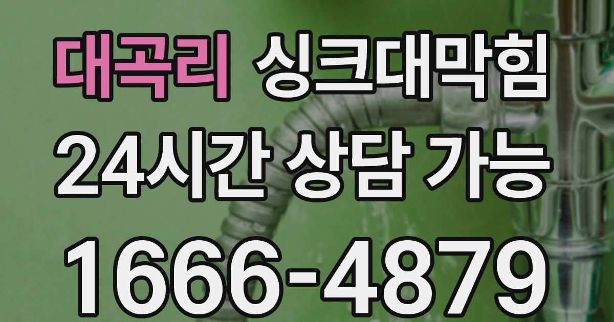 대곡리 싱크대 뚫기