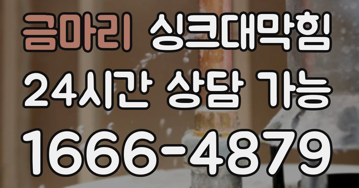 금마리 싱크대 뚫기