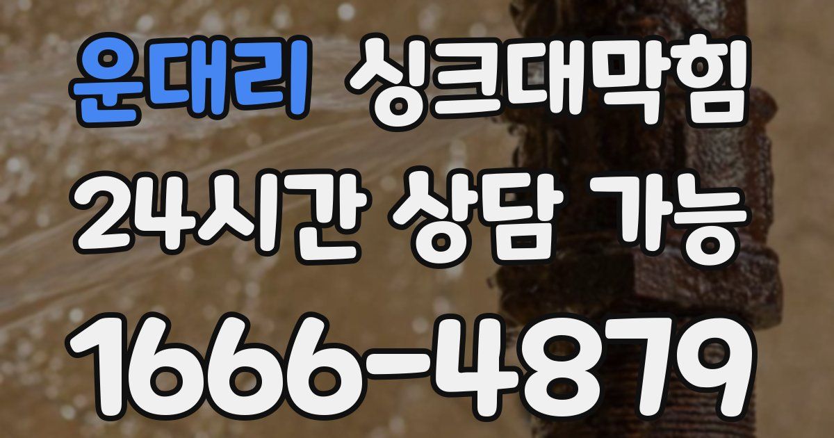 운대리 싱크대 뚫기