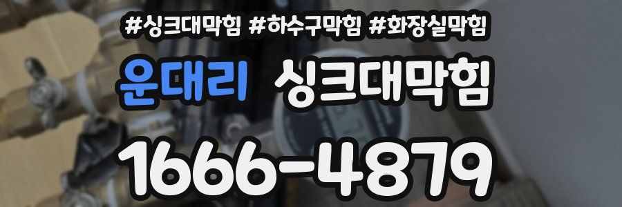 싱크대막힘