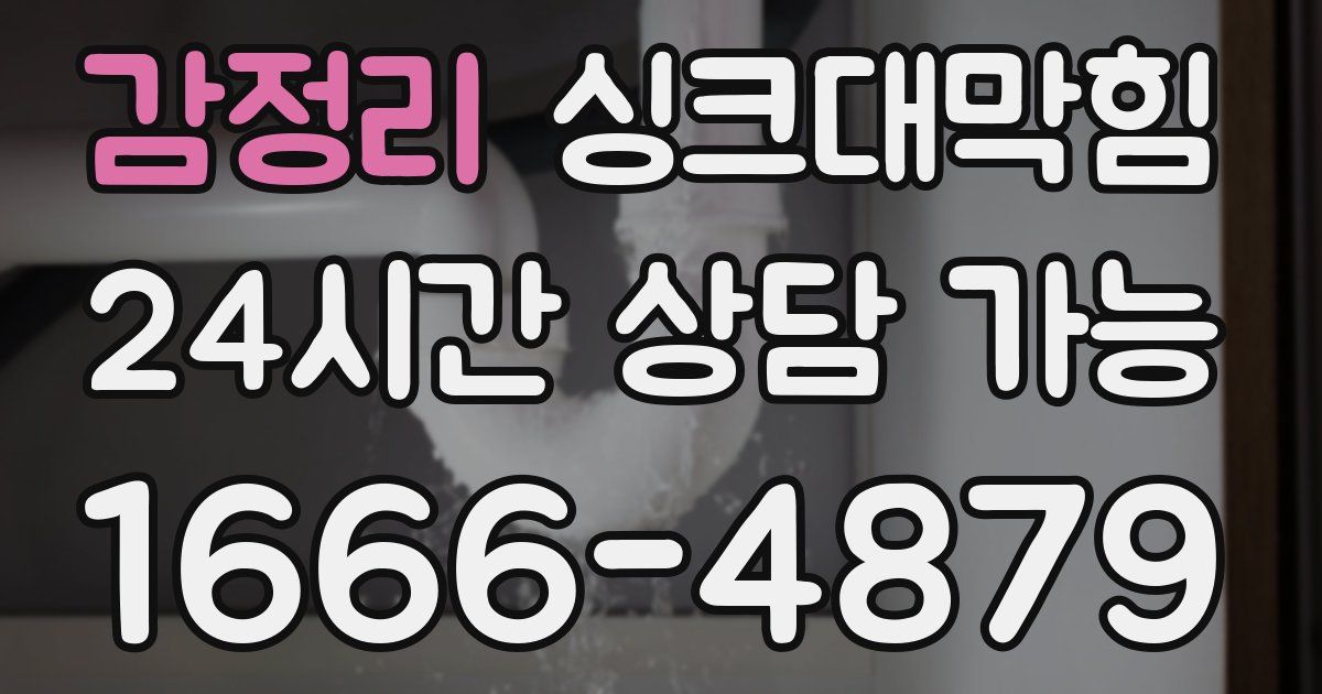 감정리 싱크대 뚫기