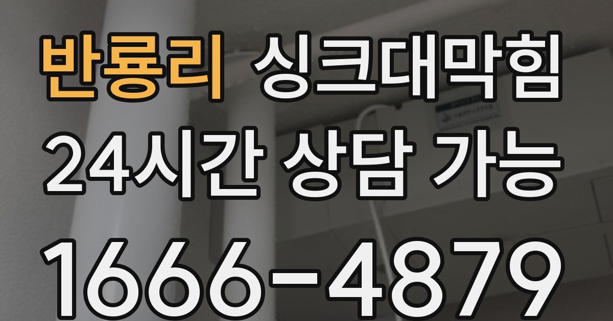 반룡리 싱크대 뚫기