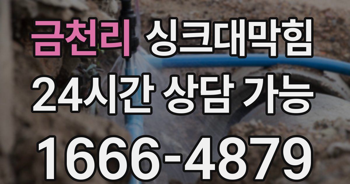 금천리 싱크대 뚫기