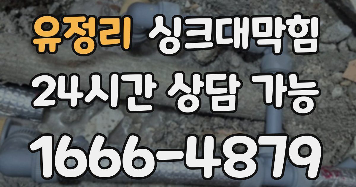 유정리 싱크대 뚫기