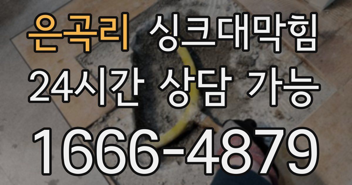은곡리 싱크대 뚫기