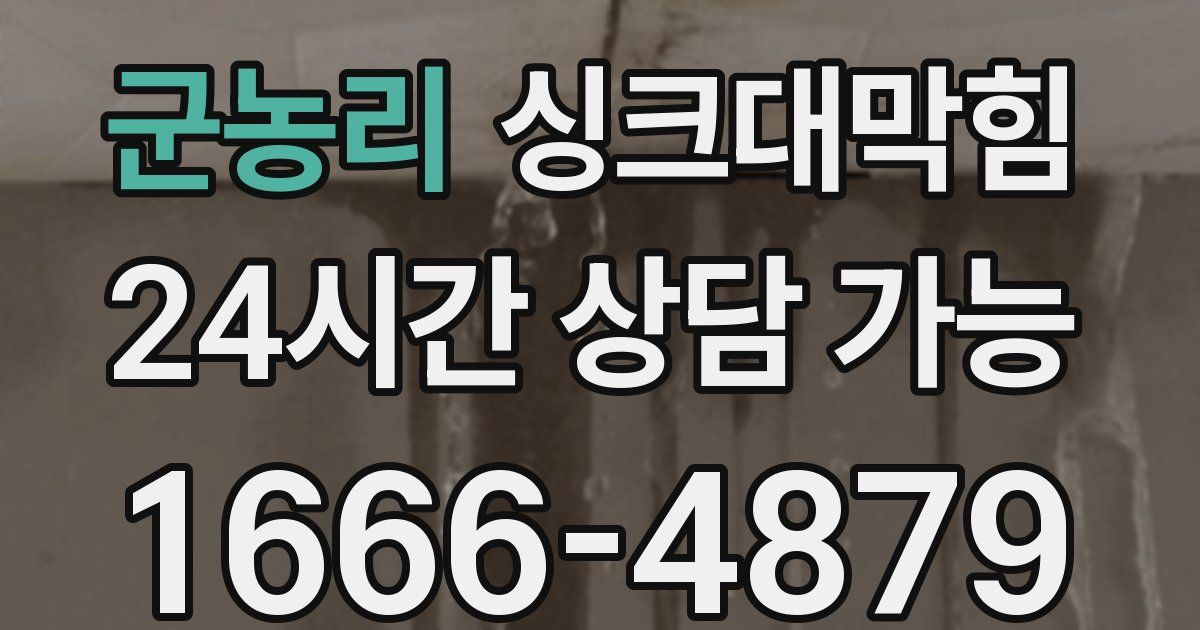 군농리 싱크대 뚫기