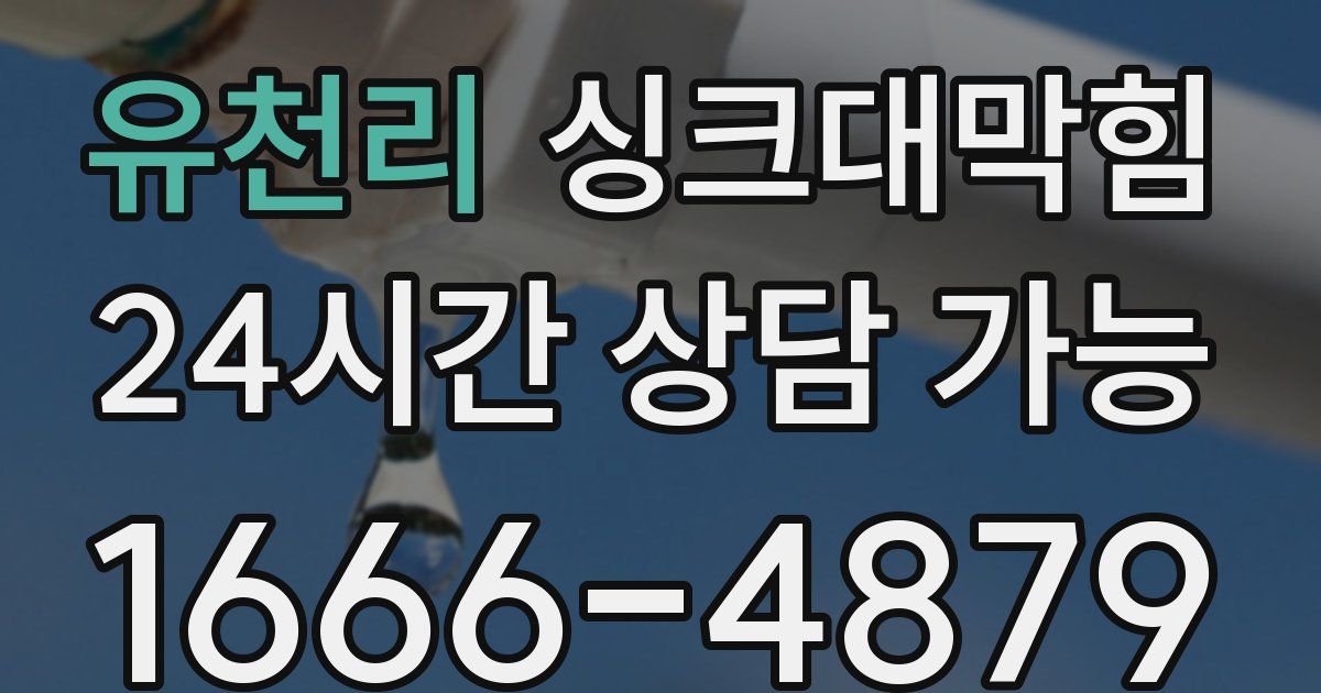 유천리 싱크대 뚫기