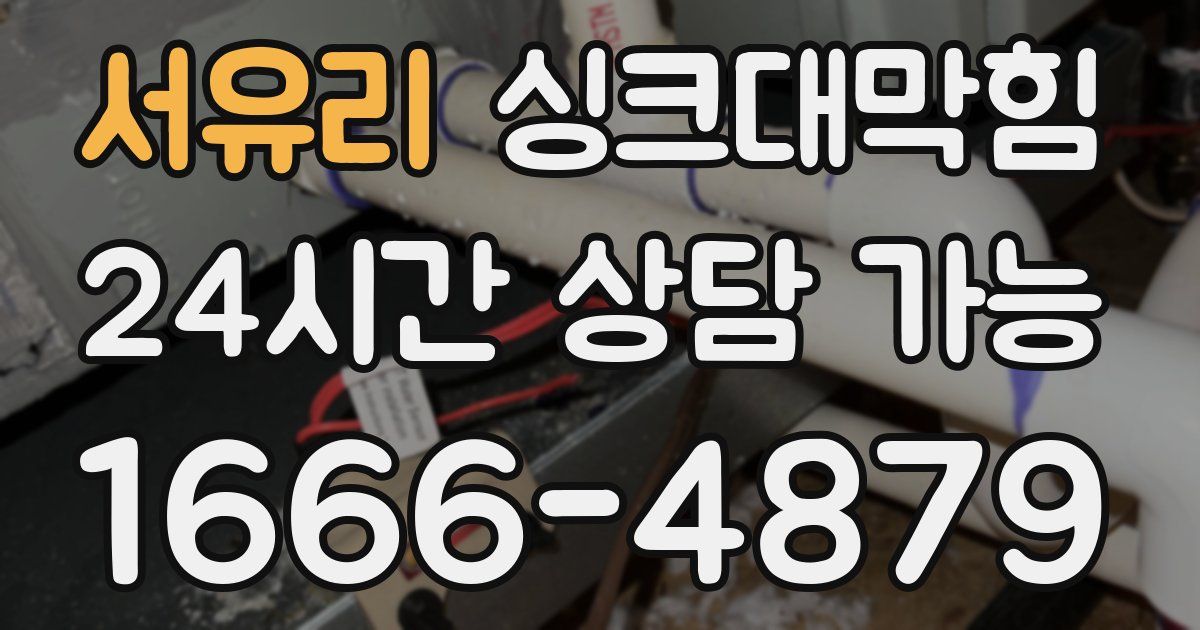 서유리 싱크대 뚫기