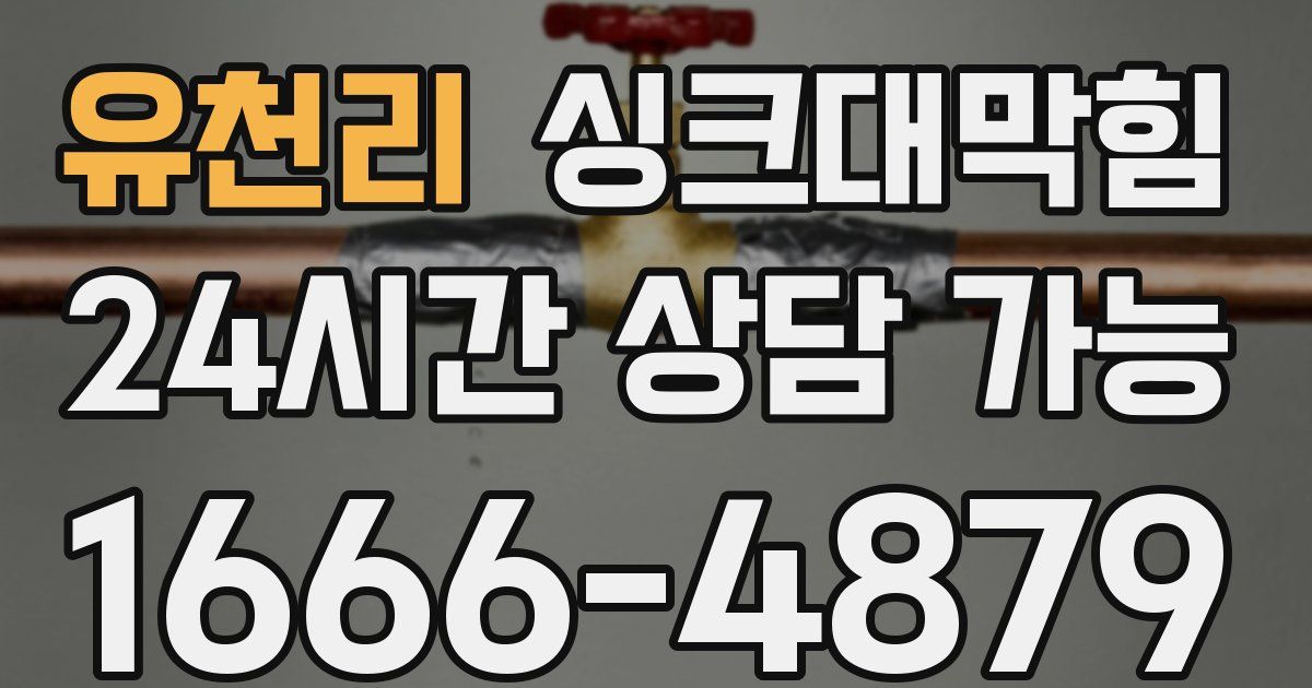 유천리 싱크대 뚫기