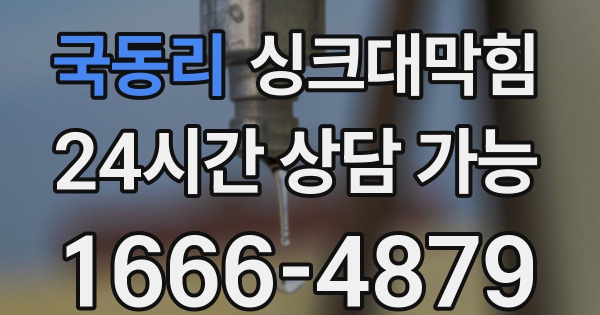 국동리 싱크대 뚫기