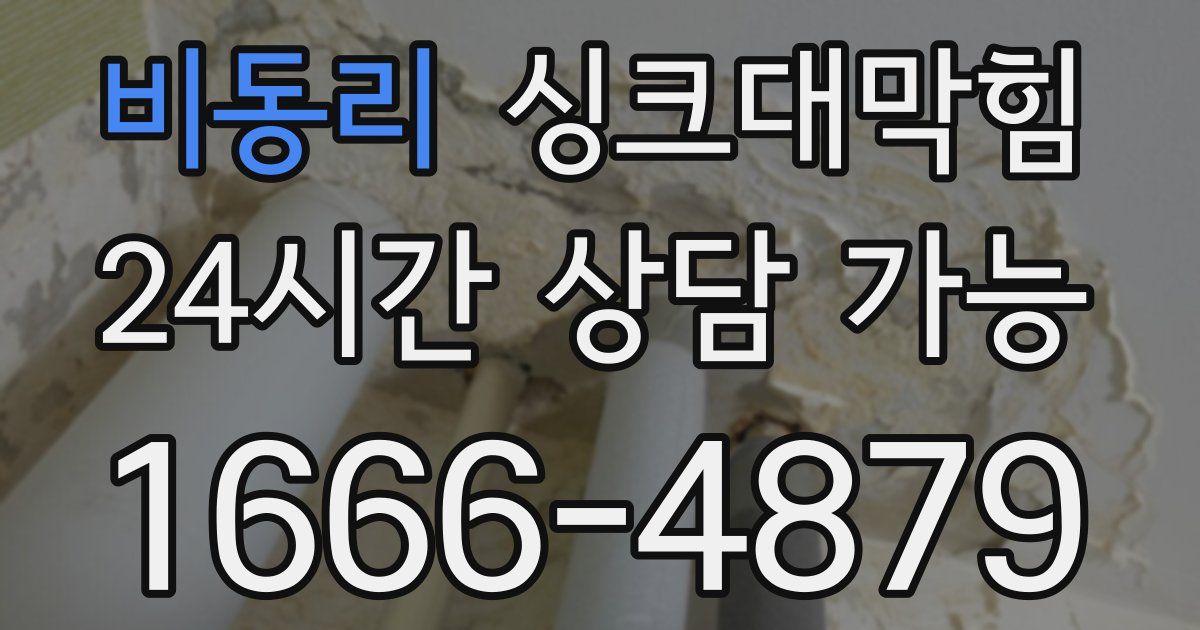 비동리 싱크대 뚫기