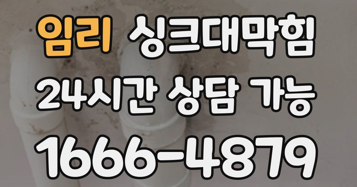 임리 싱크대 뚫기