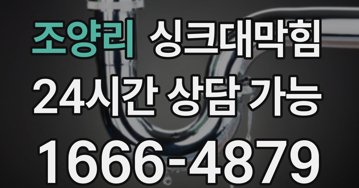 조양리 싱크대 뚫기