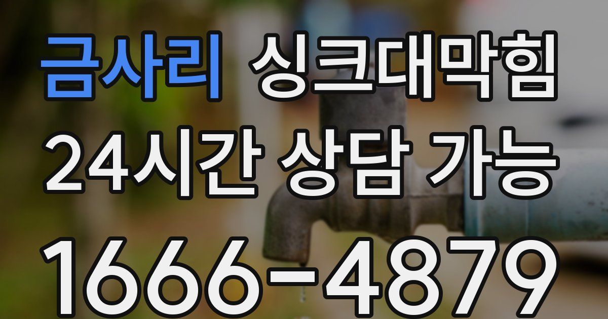 금사리 싱크대 뚫기