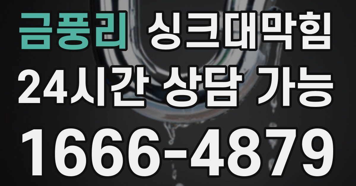 금풍리 싱크대 뚫기