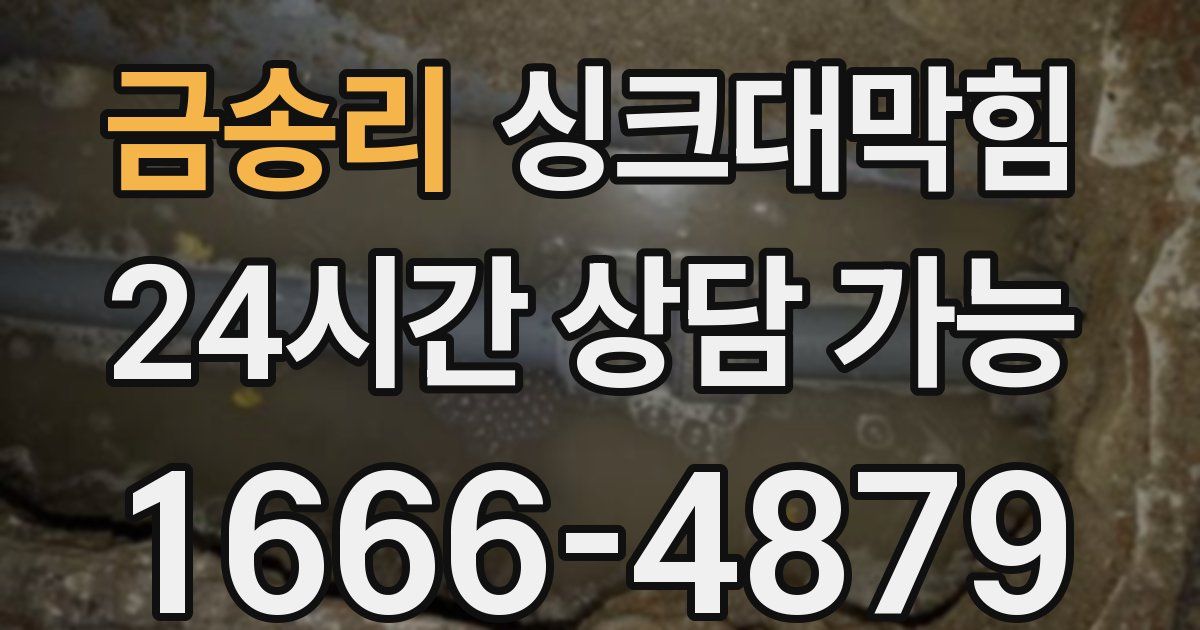 금송리 싱크대 뚫기
