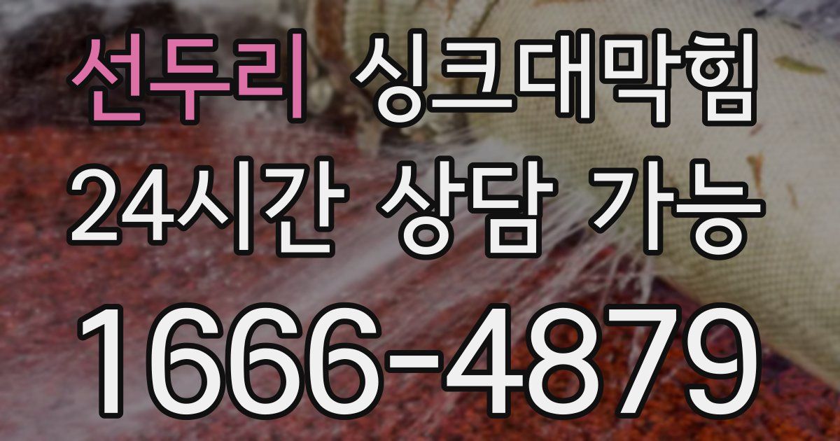 선두리 싱크대 뚫기