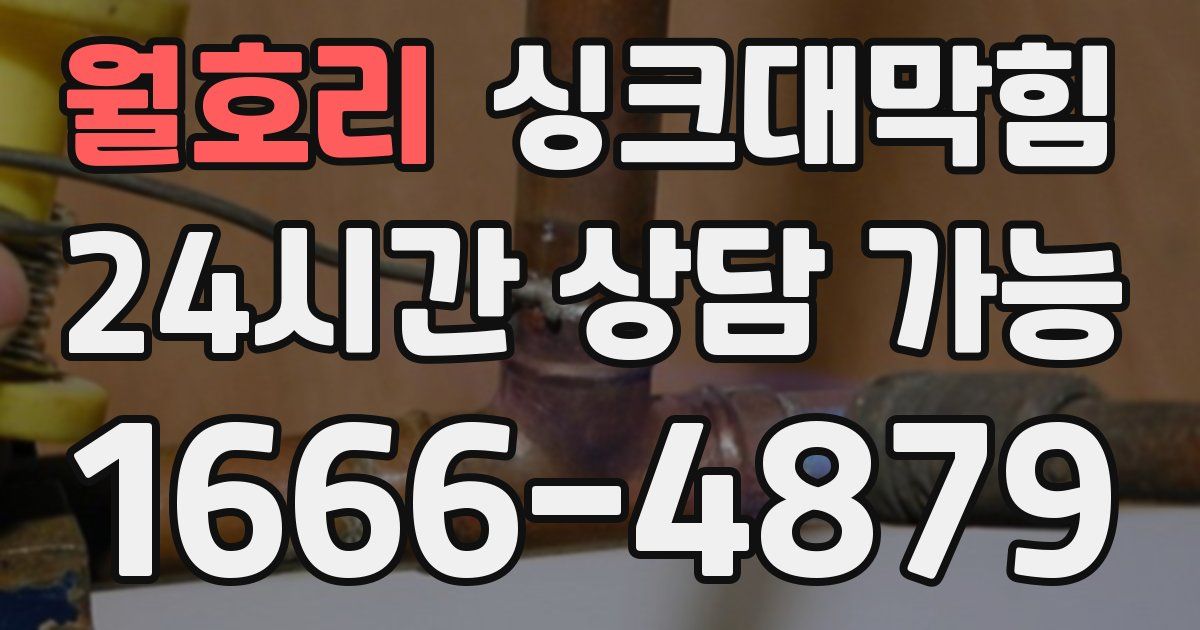 월호리 싱크대 뚫기